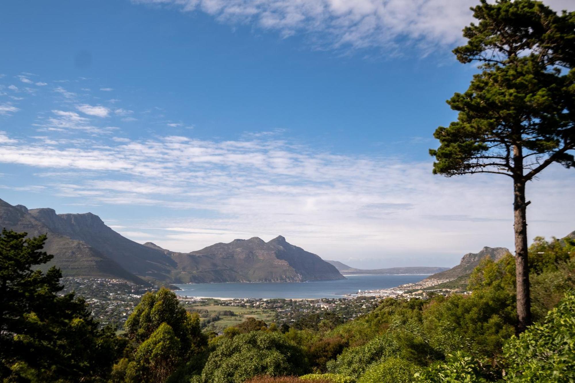 Dreamhouse Pensión Hout Bay Exterior foto